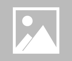 【挪超】罗森博格vs维京比赛结果：罗森博格(1-1)维京比分战报(2025年06月29日)